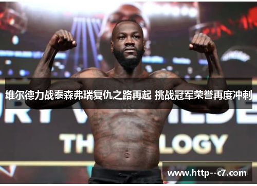 维尔德力战泰森弗瑞复仇之路再起 挑战冠军荣誉再度冲刺