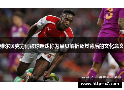 维尔贝克为何被球迷戏称为黑贝解析及其背后的文化意义